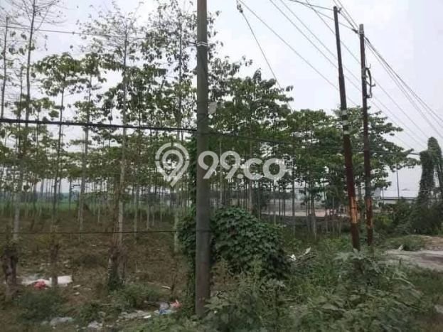 Tanah Dijual Lokasi Cikande, Serang Luas 26000m2 Legalitas Aman Tanah Dijual Lokasi Cikande, Serang Luas 26000m2 Legalitas Aman