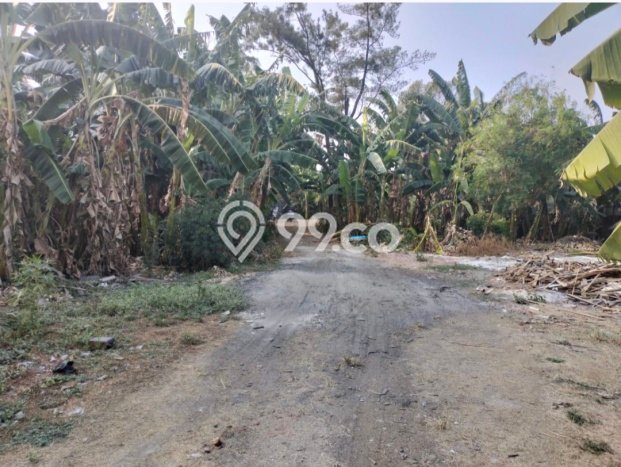 Tanah Dijual Area Strategis di Kalibata Jakarta Selatan 697m2 Tanah Dijual Area Strategis di Kalibata Jakarta Selatan 697m2