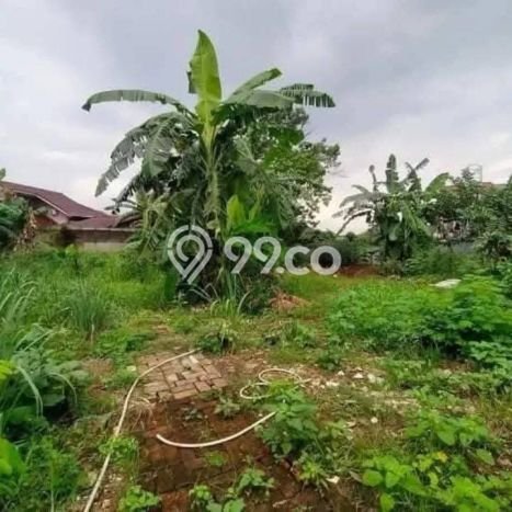 Vila Asri Kawasan Cinere, Ukuran 1760m2m², Akses ke beragam kebutuhan Vila Asri Kawasan Cinere, Ukuran 1760m2m², Akses ke beragam kebutuhan