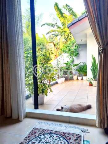 For Sale Rumah Elit Exclusive di BSD, Tangerang Selatan For Sale Rumah Elit Exclusive di BSD, Tangerang Selatan