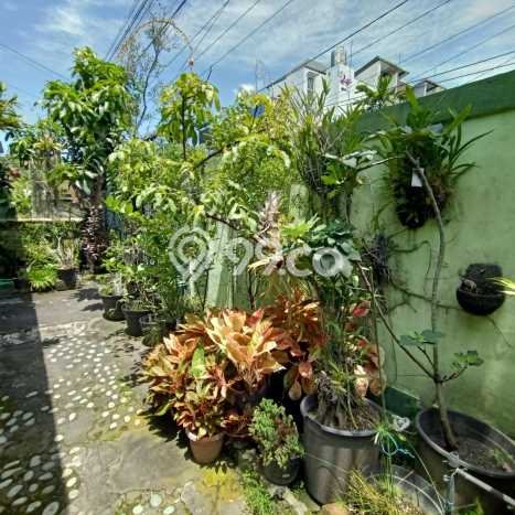 Tanah Kosong Dijual di Denpasar dengan Area 430m2 Tanah Kosong Dijual di Denpasar dengan Area 430m2