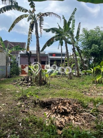Tanah Siap Bangun Dijual di Malang Punya Luas 155m2 Tanah Siap Bangun Dijual di Malang Punya Luas 155m2