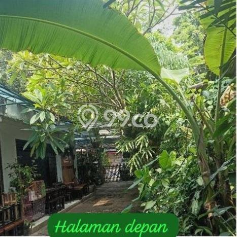 For Sale Rumah Mewah Exclusive di Kramat Jati, Jakarta Timur For Sale Rumah Mewah Exclusive di Kramat Jati, Jakarta Timur