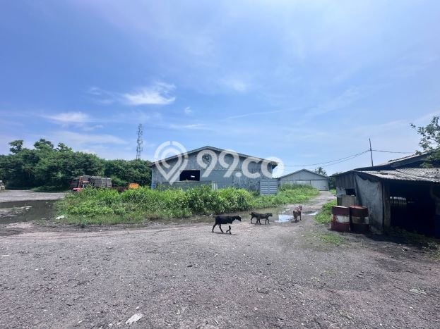 Tanah Investasi Dijual di Jakarta Utara Punya Luas 36000m2 Tanah Investasi Dijual di Jakarta Utara Punya Luas 36000m2