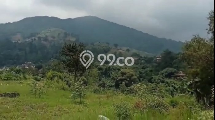 Kavling Tanah untuk Dijual di Cipanas, Bogor, Luas 3540m2 Kavling Tanah untuk Dijual di Cipanas, Bogor, Luas 3540m2