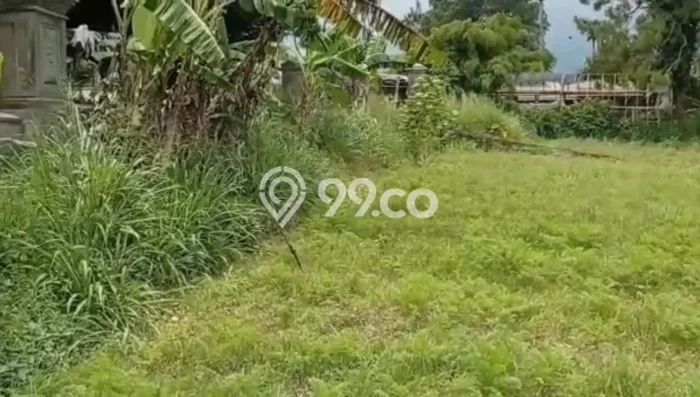 Untuk Dijual Tanah di Cipanas Cianjur Luas 451m2 SHM Untuk Dijual Tanah di Cipanas Cianjur Luas 451m2 SHM