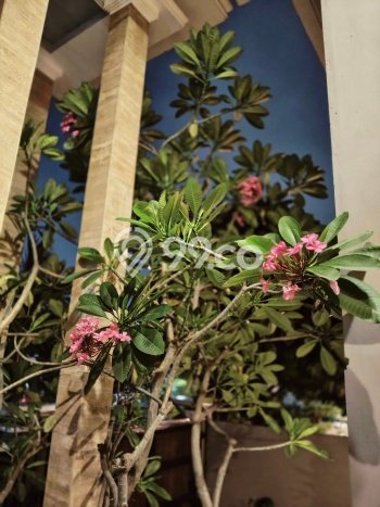 For Sale! Luxury House LT 210m2 Desain Modern di Jati Asih For Sale! Luxury House LT 210m2 Desain Modern di Jati Asih