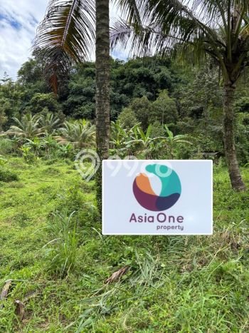 Lahan Kosong Dijual di Subang, Subang, Luas 10070m2 Area Strategis Lahan Kosong Dijual di Subang, Subang, Luas 10070m2 Area Strategis
