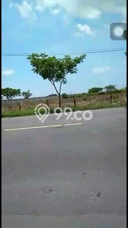 Tanah Kosong Dijual di Tuban dengan Area 40000m2 Tanah Kosong Dijual di Tuban dengan Area 40000m2