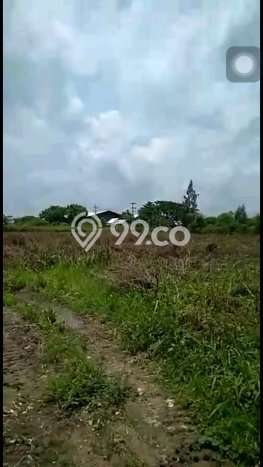 Tanah Kosong Dijual di Tuban dengan Area 40000m2 Tanah Kosong Dijual di Tuban dengan Area 40000m2