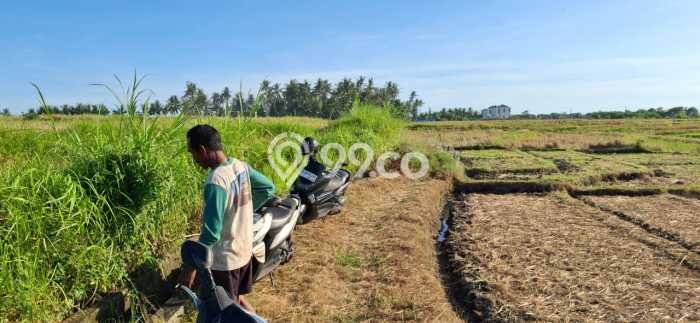 Untuk Dijual Tanah 900m2 di Kedungu, Tabanan Untuk Dijual Tanah 900m2 di Kedungu, Tabanan