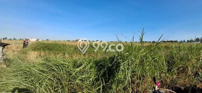 Untuk Dijual Tanah 900m2 di Kedungu, Tabanan Untuk Dijual Tanah 900m2 di Kedungu, Tabanan