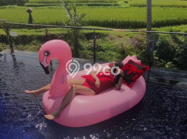Siap Huni Hunian Elit 3 Kamar di Ubud Dekat ke Mana Pun Siap Huni Hunian Elit 3 Kamar di Ubud Dekat ke Mana Pun
