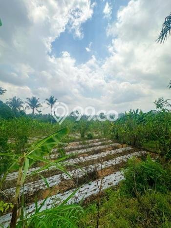 Tanah Kosong Dijual di Gianyar dengan Area 342m2 Tanah Kosong Dijual di Gianyar dengan Area 342m2