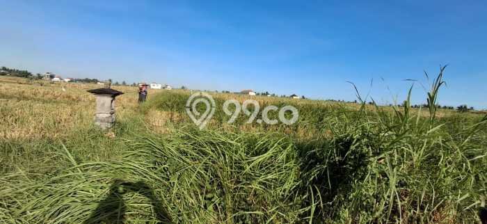 Untuk Dijual Tanah 900m2 di Kedungu, Tabanan Untuk Dijual Tanah 900m2 di Kedungu, Tabanan