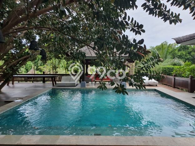 Jual Rumah Luas Megah Dengan View Cantik di canggu, Badung Jual Rumah Luas Megah Dengan View Cantik di canggu, Badung