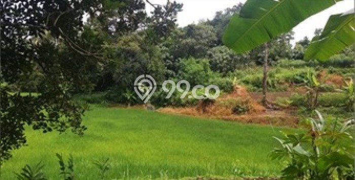 Tanah Dijual Lokasi Serang, Serang dengan Luas Tanah 30344m2 dan Status - Tanah Dijual Lokasi Serang, Serang dengan Luas Tanah 30344m2 dan Status -