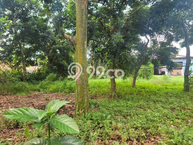 Lahan Kosong Dijual di Sawangan, Depok, Luas 2400m2 Area Strategis Lahan Kosong Dijual di Sawangan, Depok, Luas 2400m2 Area Strategis