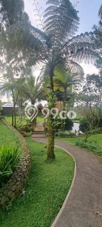 Investasi Potensial! Vila di Tamansari, Dimensi 4000m2m², Lokasi Premium Investasi Potensial! Vila di Tamansari, Dimensi 4000m2m², Lokasi Premium