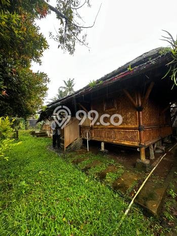 Tanah Dijual Lokasi Dramaga, Bogor Luas 10000m2 Legalitas Aman Tanah Dijual Lokasi Dramaga, Bogor Luas 10000m2 Legalitas Aman