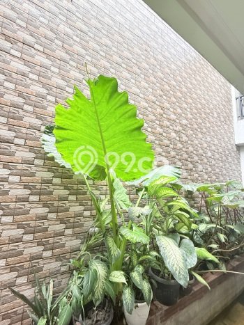 Rumah Luxury Modern Tanpa Renovasi di Legenda Wisata Jakarta Timur Rumah Luxury Modern Tanpa Renovasi di Legenda Wisata Jakarta Timur
