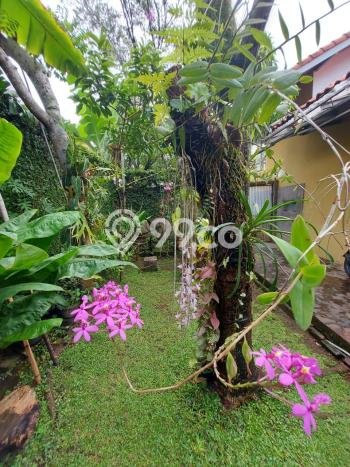Rumah Minimalis 5 KT LT 310m2 di Bandung Timur Rumah Minimalis 5 KT LT 310m2 di Bandung Timur