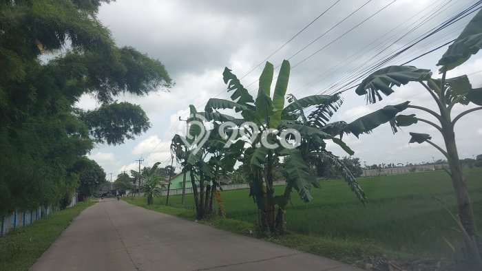 Pabrik Paling Dicari LB 12000m2 Dijual di Cikande Pabrik Paling Dicari LB 12000m2 Dijual di Cikande