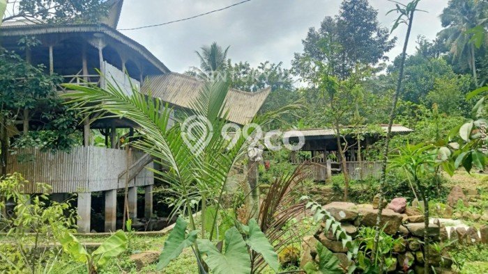 Lahan Kosong Dijual di Tamansari, Bogor, Luas 2061m2 Area Strategis Lahan Kosong Dijual di Tamansari, Bogor, Luas 2061m2 Area Strategis