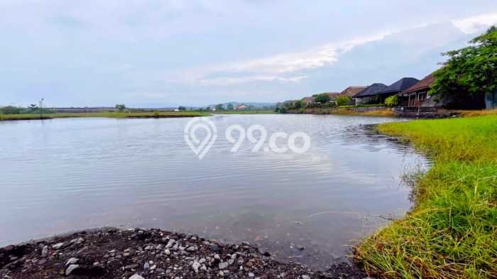 Lahan Kosong Dijual di Buleleng dengan Area 100000m2 Lahan Kosong Dijual di Buleleng dengan Area 100000m2