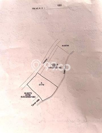 Tanah Kavling Dijual di Munggu, Badung dengan Luas Tanah 4990m2 Tanah Kavling Dijual di Munggu, Badung dengan Luas Tanah 4990m2