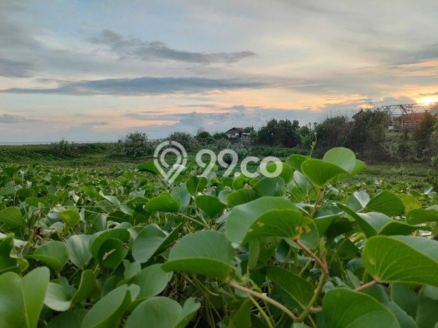 Untuk Dijual Tanah di Gianyar, Luas 3673m2 SHM Untuk Dijual Tanah di Gianyar, Luas 3673m2 SHM