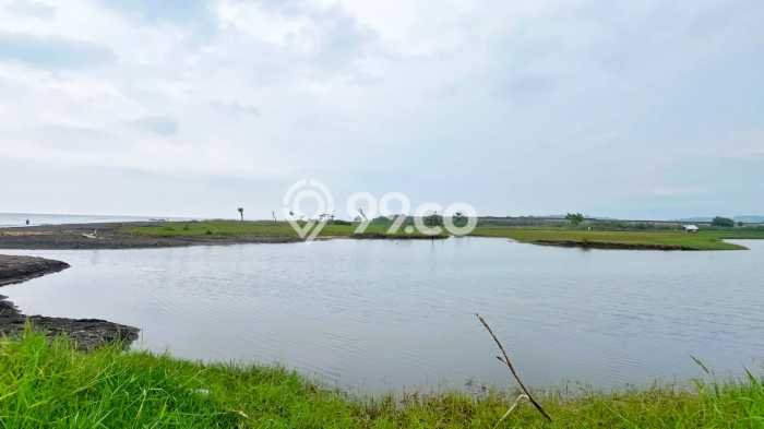 Lahan Kosong Dijual di Buleleng dengan Area 100000m2 Lahan Kosong Dijual di Buleleng dengan Area 100000m2