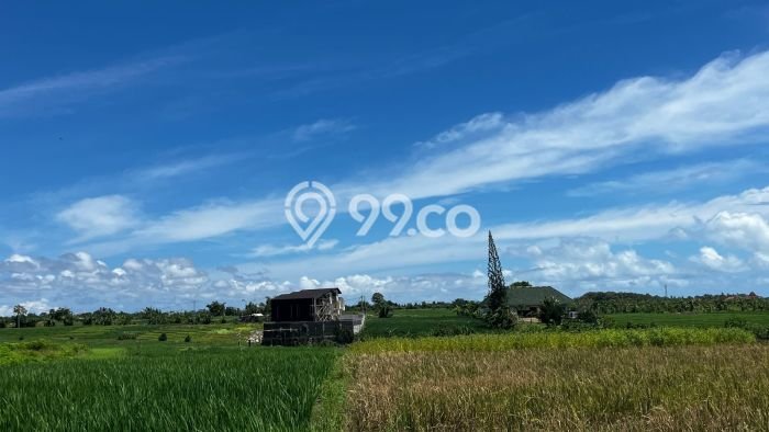 Tanah di Tabanan, Tabanan Luas 2400m2 Dijual Segera Tanah di Tabanan, Tabanan Luas 2400m2 Dijual Segera