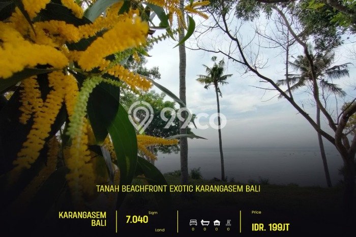 Jarang Ada! Tanah di Karangasem Punya Luas 7040m2 SHM Jarang Ada! Tanah di Karangasem Punya Luas 7040m2 SHM