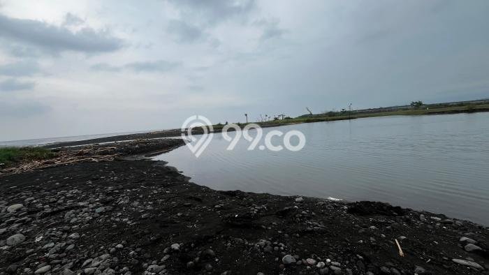 Tanah Komersial Dijual di Seririt Buleleng 100000m2 Tanah Komersial Dijual di Seririt Buleleng 100000m2