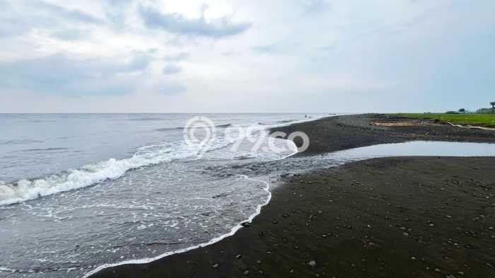 Lahan Kosong Dijual di Buleleng dengan Area 100000m2 Lahan Kosong Dijual di Buleleng dengan Area 100000m2