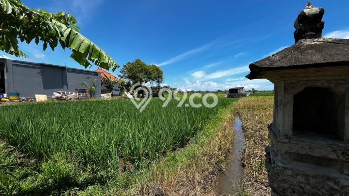 Tanah di Tabanan, Tabanan Luas 2400m2 Dijual Segera Tanah di Tabanan, Tabanan Luas 2400m2 Dijual Segera