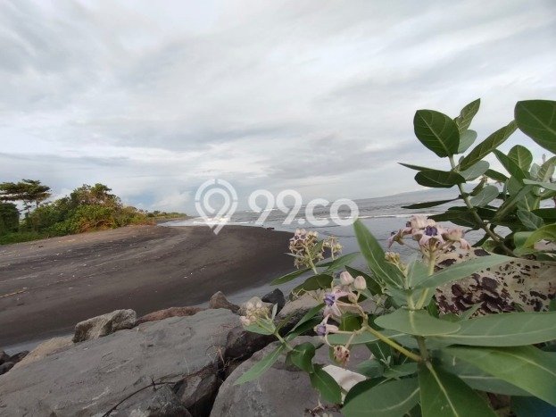 Untuk Dijual Tanah di Gianyar, Luas 3673m2 SHM Untuk Dijual Tanah di Gianyar, Luas 3673m2 SHM