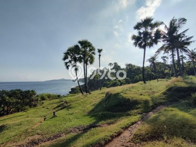 Kavling Tanah Dijual di Karangasem, Karangasem, Luas 5430m2 Area Strategis Kavling Tanah Dijual di Karangasem, Karangasem, Luas 5430m2 Area Strategis