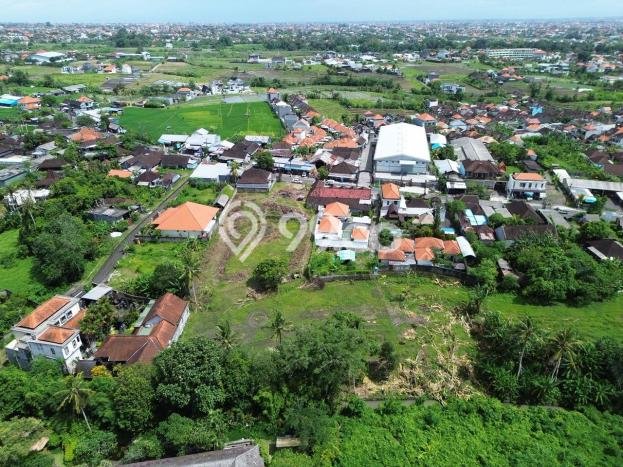 Tanah Kavling Dijual di Munggu, Badung dengan Luas Tanah 4990m2 Tanah Kavling Dijual di Munggu, Badung dengan Luas Tanah 4990m2