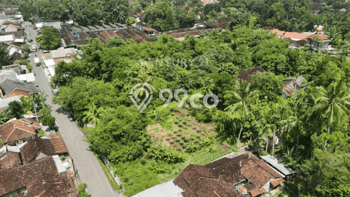 Tanah di Ngemplak, Sleman Luas 9031m2 Dijual Segera Tanah di Ngemplak, Sleman Luas 9031m2 Dijual Segera