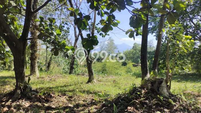 Tanah Kavling Dijual di Sentul City, Bogor dengan Luas Tanah 1530m2 Tanah Kavling Dijual di Sentul City, Bogor dengan Luas Tanah 1530m2