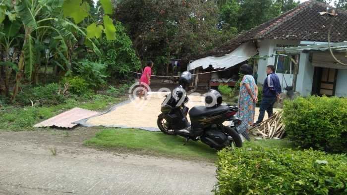 Dijual Tanah di Bantul Bantul Luas 195m2 SHM Dijual Tanah di Bantul Bantul Luas 195m2 SHM