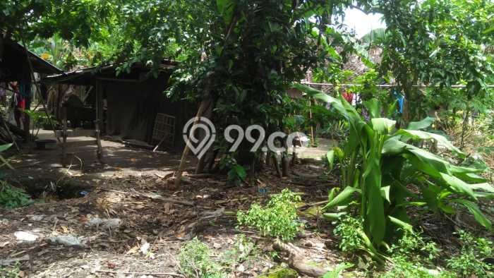 Tanah Dijual Area Strategis di Bambanglipuro Bantul 195m2 Tanah Dijual Area Strategis di Bambanglipuro Bantul 195m2