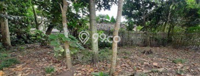 Tanah Kosong Dijual di Sleman dengan Area 234m2 Tanah Kosong Dijual di Sleman dengan Area 234m2