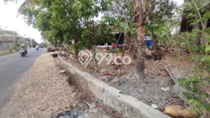 Tanah Dijual Area Strategis di Imogiri Bantul 524m2 Tanah Dijual Area Strategis di Imogiri Bantul 524m2