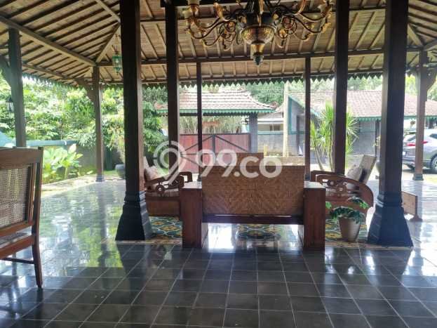 Vila Berkembang Kawasan Turi, Area 1019m2m², Area Nyaman Vila Berkembang Kawasan Turi, Area 1019m2m², Area Nyaman