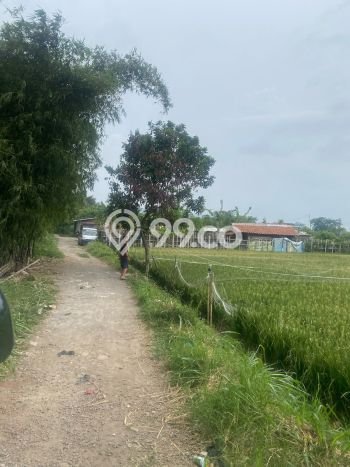Tanah Kavling untuk Dijual di Dayeuhkolot Bandung 644m2 Tanah Kavling untuk Dijual di Dayeuhkolot Bandung 644m2