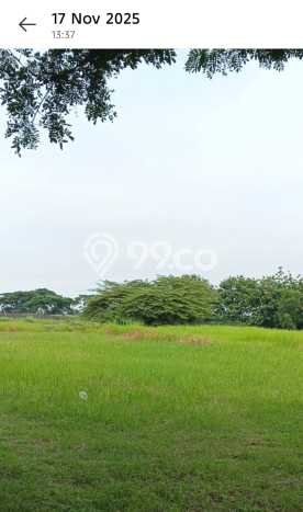 Tanah Strategis Dijual di Kaliwungu Semarang 70000m2 Tanah Strategis Dijual di Kaliwungu Semarang 70000m2