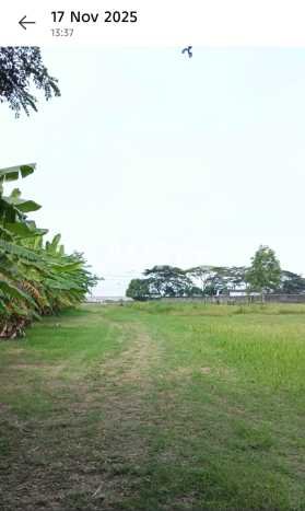 Tanah Strategis Dijual di Kaliwungu Semarang 70000m2 Tanah Strategis Dijual di Kaliwungu Semarang 70000m2